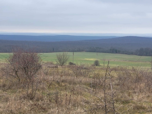 Варна, с. Горица, ПРОДАВА